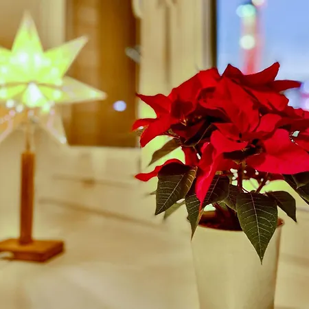 Altstadt-studios Neuer Markt Stralsund